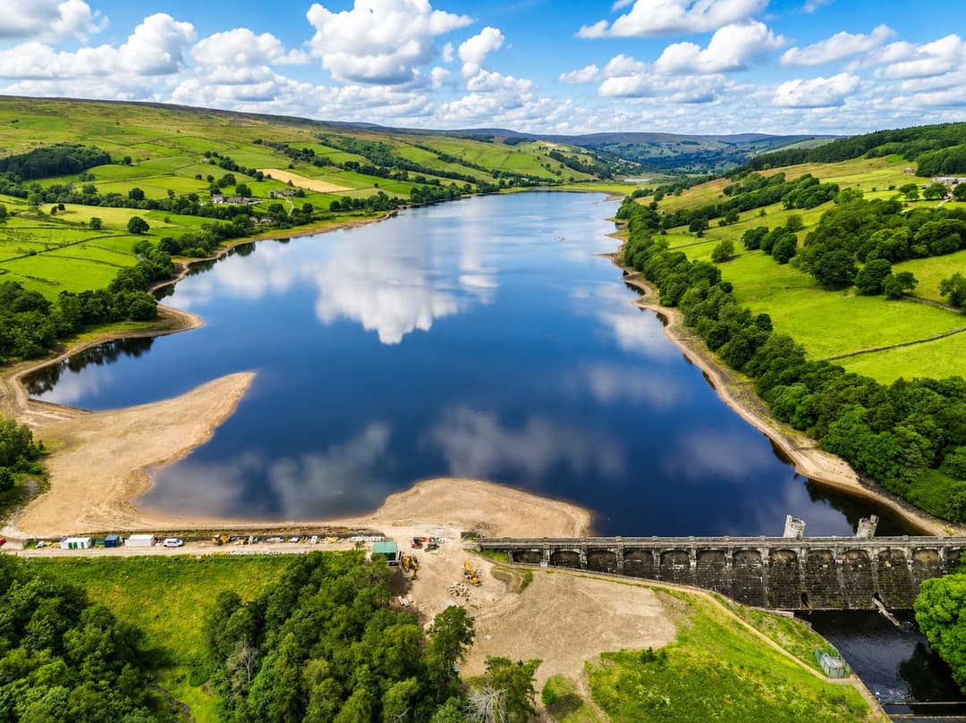 Wading birds on the still water of Gouthwaite Reservoir in upper Nidderdale