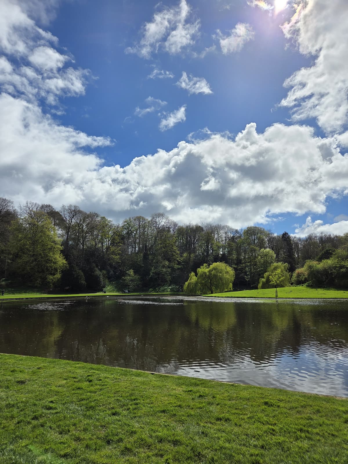 The Studley Royal canal on a bright spring day, trees reflected in still water