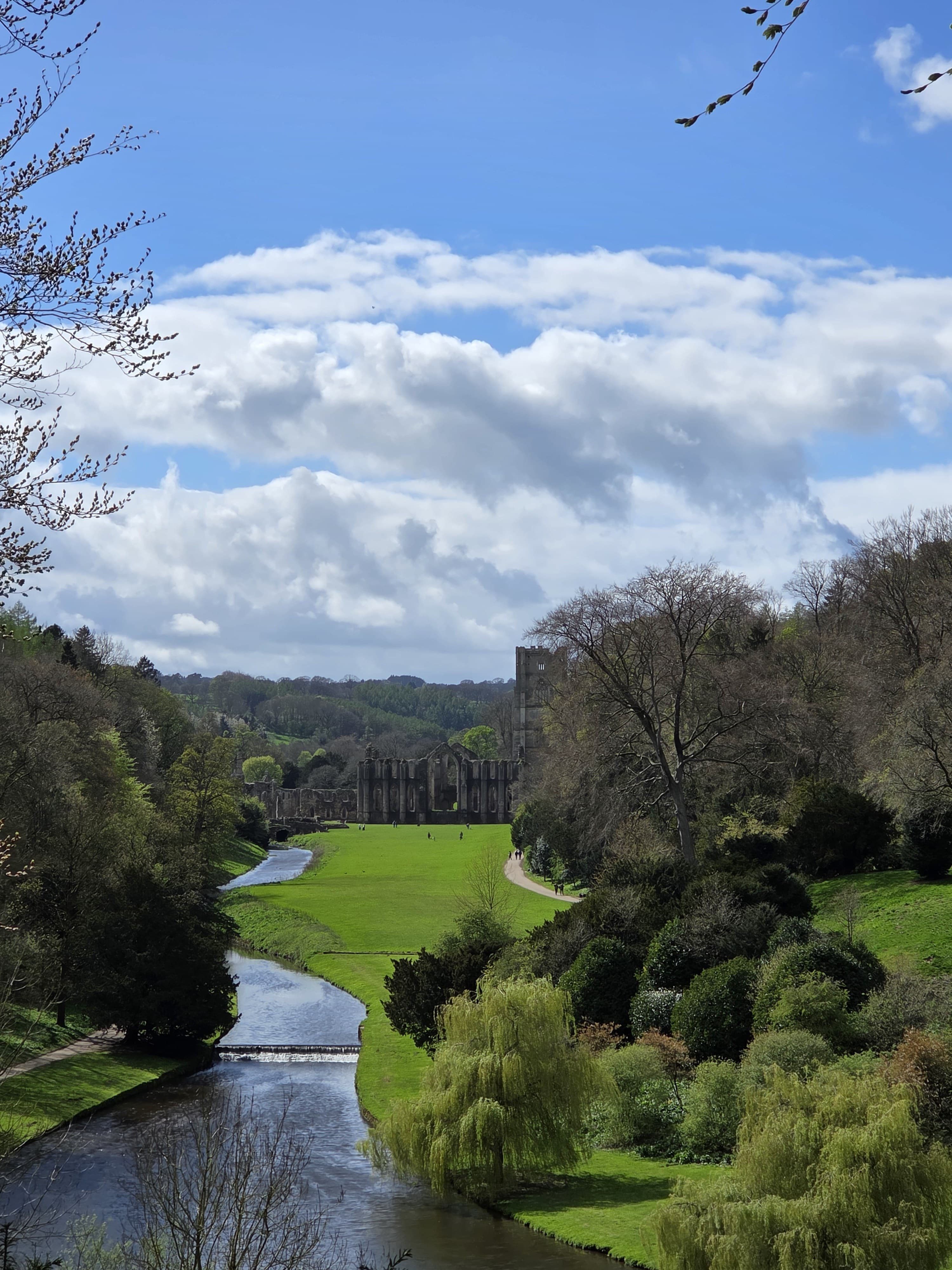 Fountains Abbey ruins rising above the Skell valley