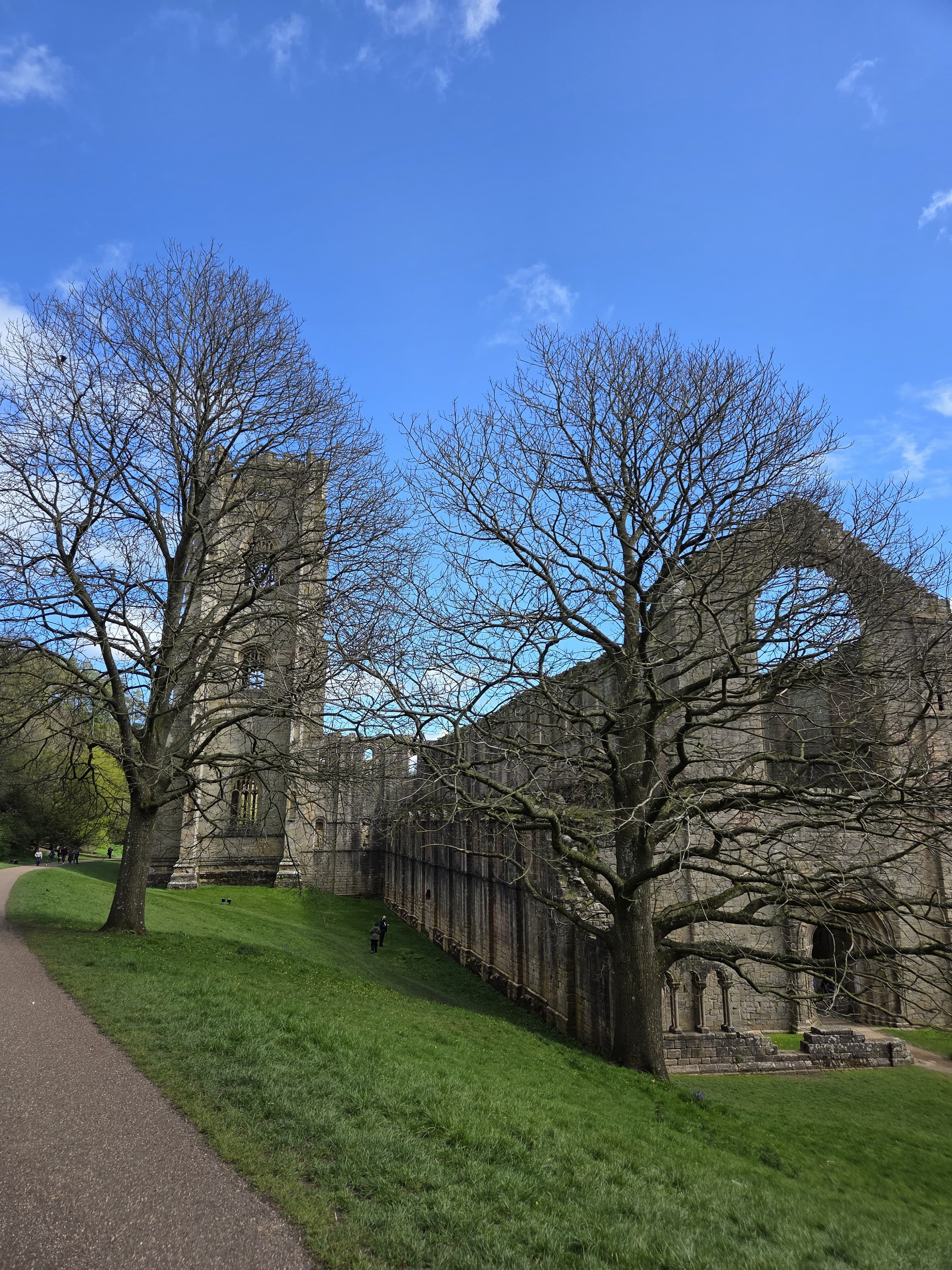 Marmaduke Huby's tower rising above bare winter trees on the abbey grounds