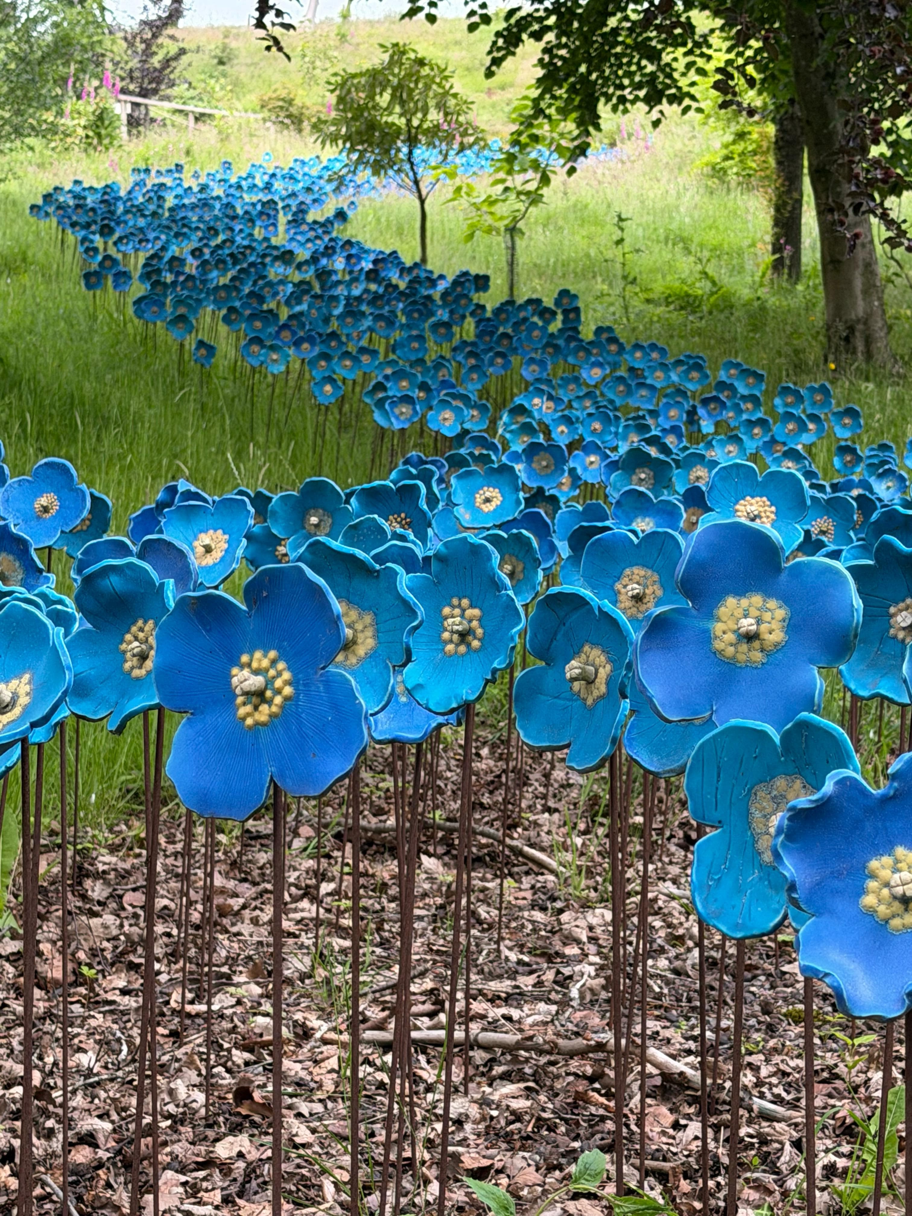 A winding path of bright blue meconopsis poppy sculptures running through the meadow grass at the Himalayan Garden