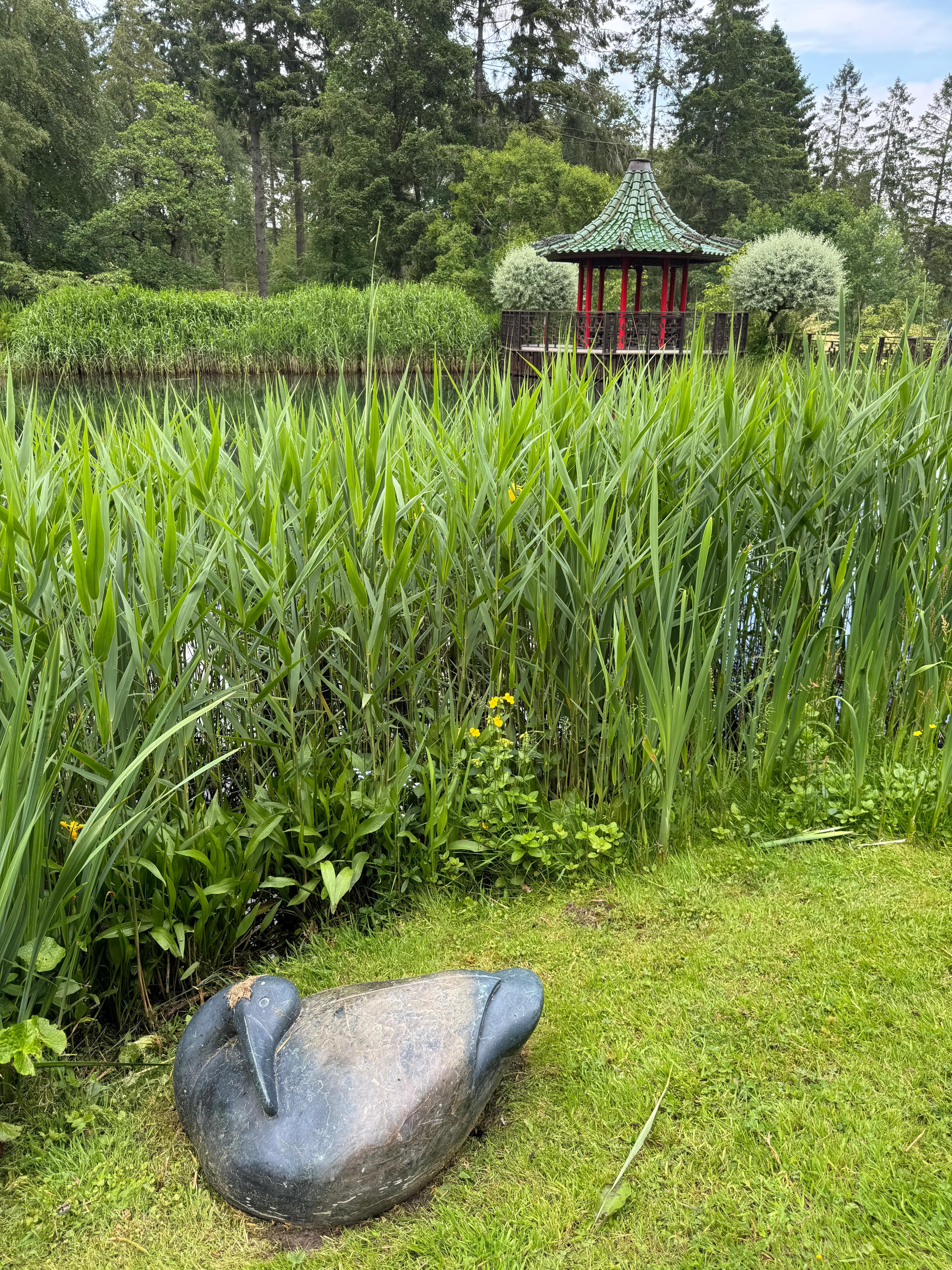 A smooth stone bird sculpture resting in the grass beside the reed-lined lake, with the Chinese-style pavilion visible across the water