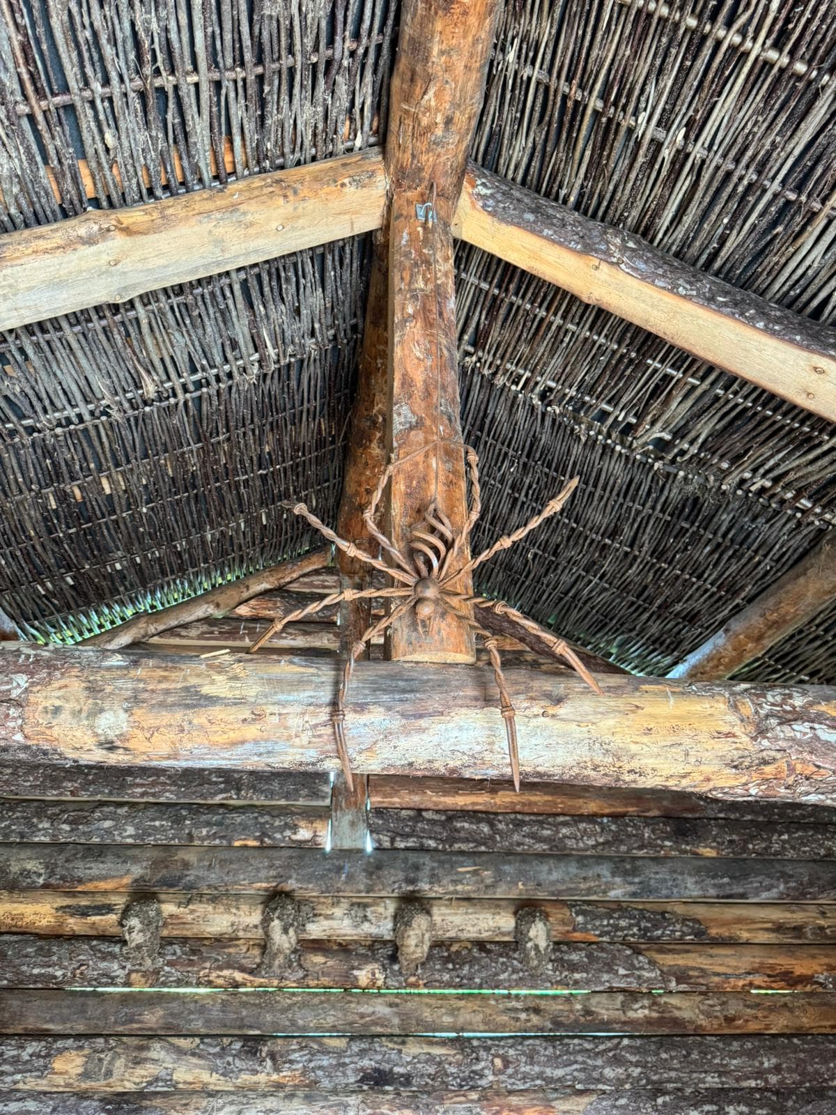 A large woven willow spider sculpture suspended in the rafters of a thatched garden pavilion
