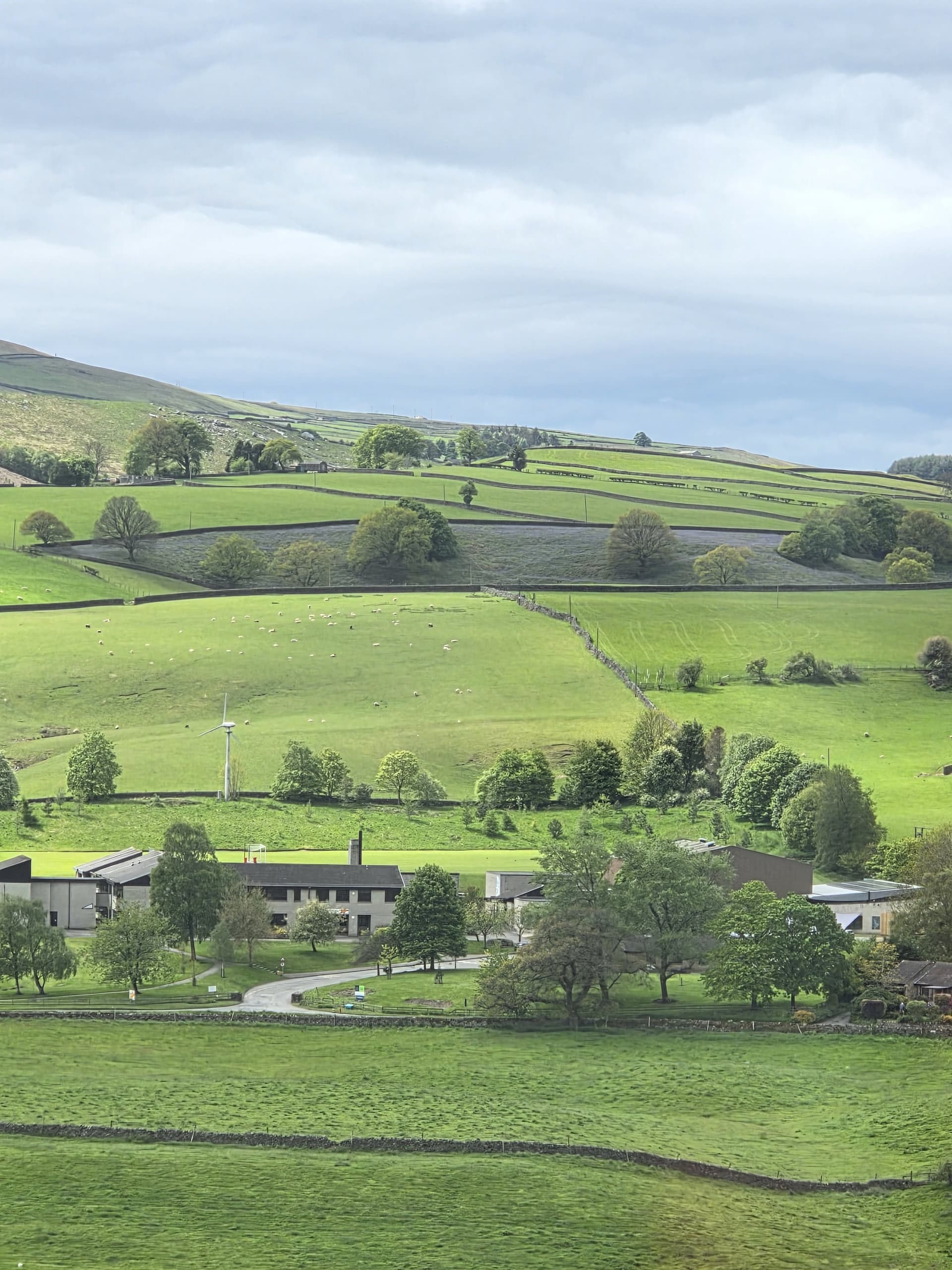 The Nidderdale valley stretching out from Pateley Bridge, with dry stone walls and green hills