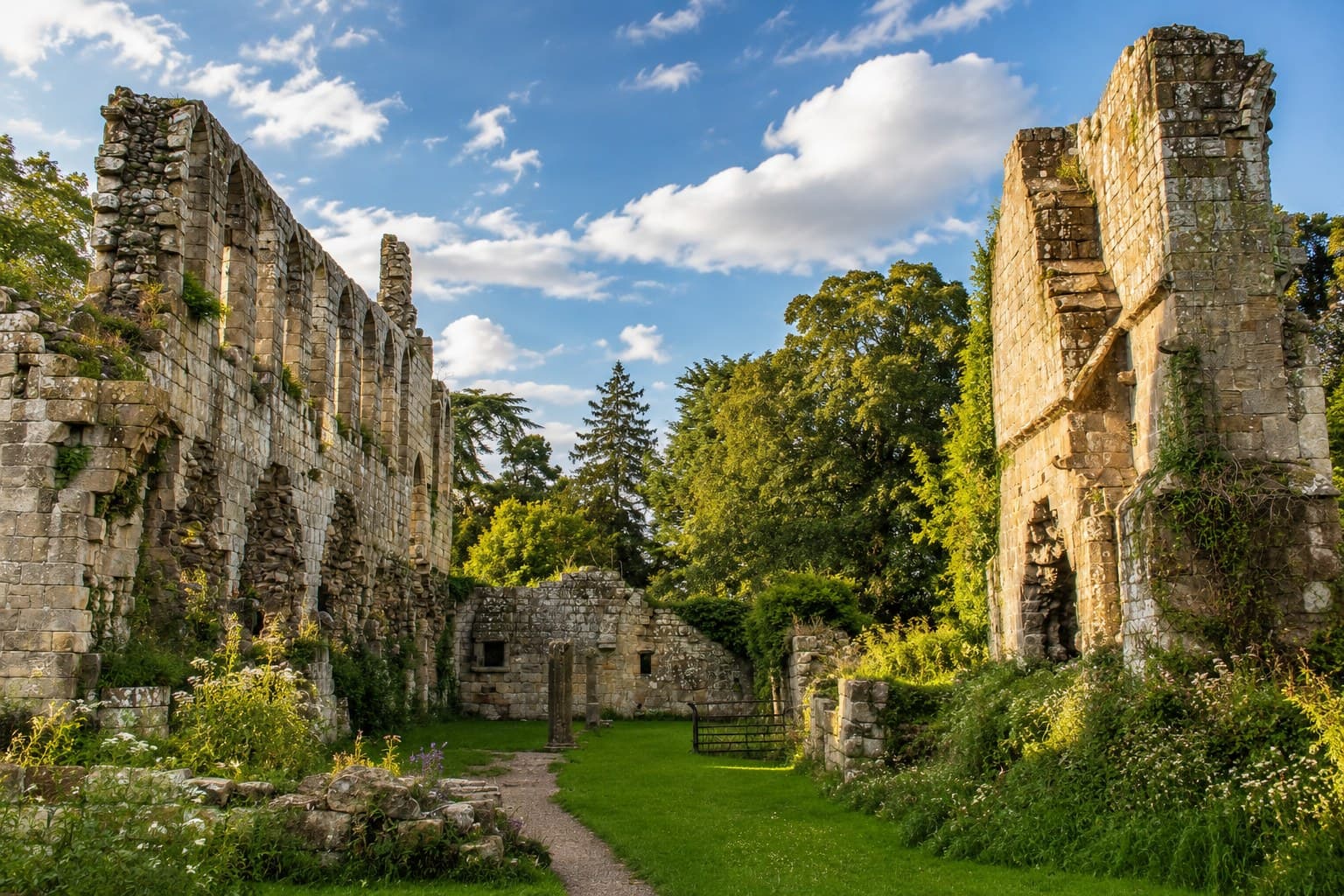 The unrestored ruins of Jervaulx Abbey with sheep grazing among the stones
