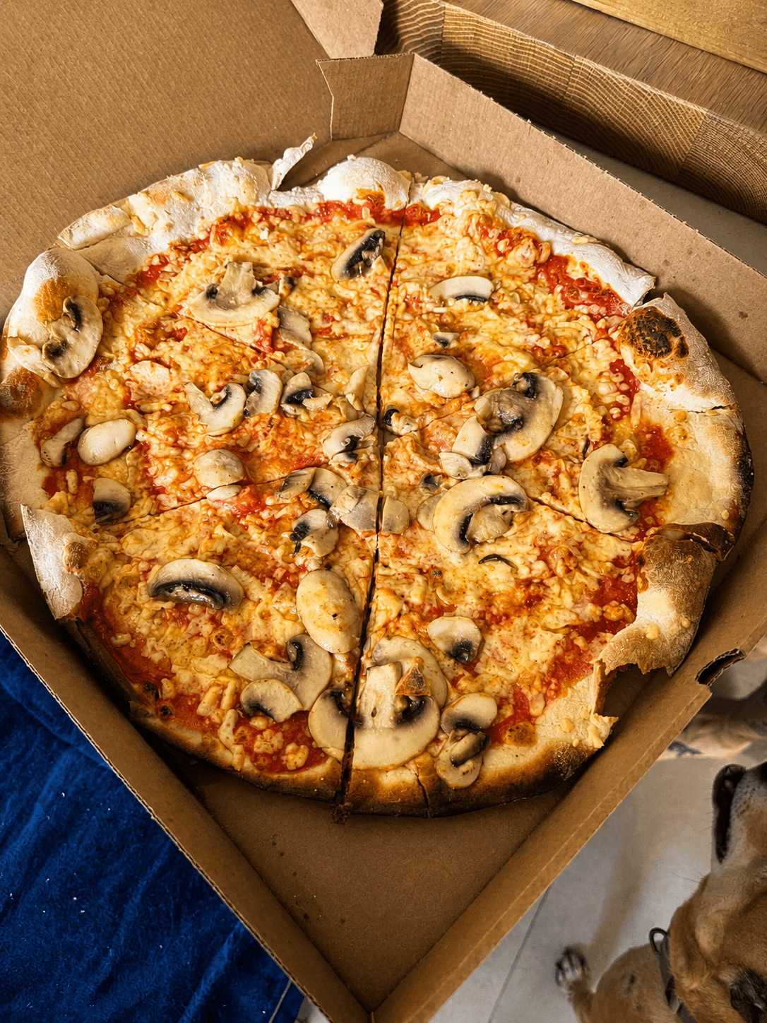 A wood-fired mushroom pizza, freshly sliced, in a takeaway box