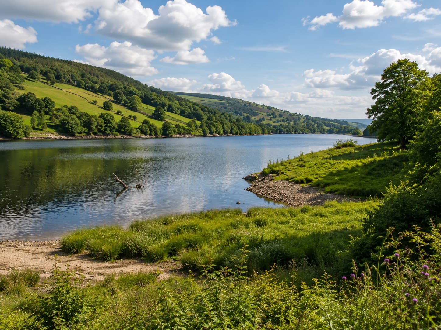 Calm blue water of Gouthwaite Reservoir reflecting the sky, with green wooded hills along the far shore